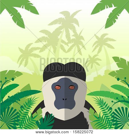 Flat Vector image of the Colobus on the Jungle Background