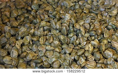 Green Pickled Small Capers Close Up Background
