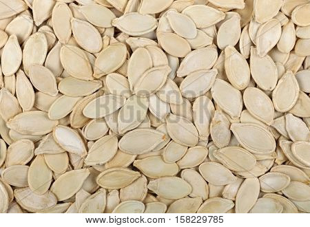 Raw Pumpkin Seeds Close Up Background Top View