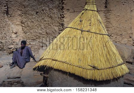 Mali, Africa - Dogon Village And Typical Mud Buildings
