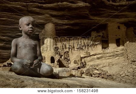 Mali, Africa - Dogon Village And Typical Mud Buildings