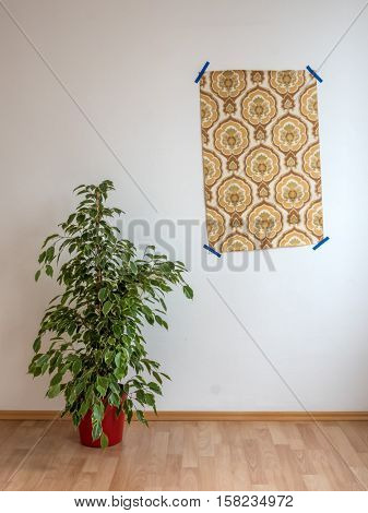 apartment with wallpaper and flowers stock
