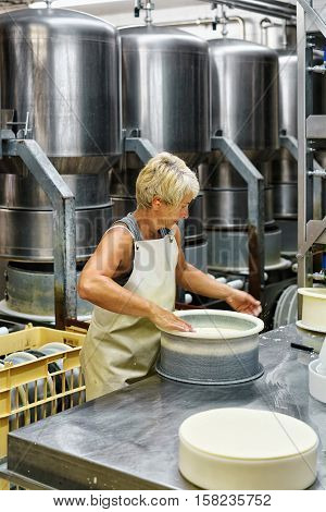 Cheesemaker Putting Young Comte Cheese In Forms Dairy