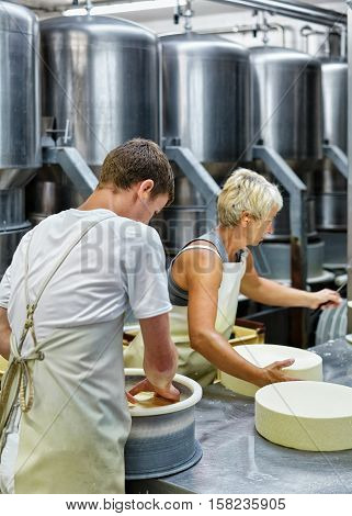 Cheesemakers Putting Young Gruyere Comte Cheese In Forms In Dairy