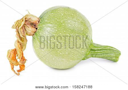 Raw round vegetable marrow with blossom isolated on white background. Zucchini courgette.