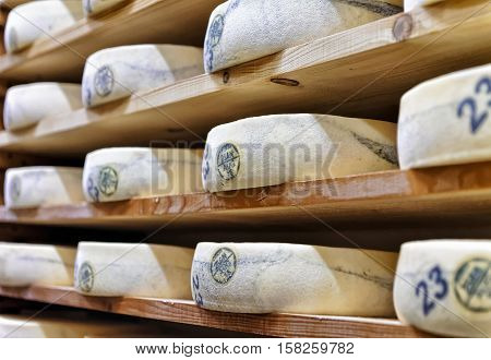 Wheels Of Aging Cheese In Ripening Cellar Franche Comte