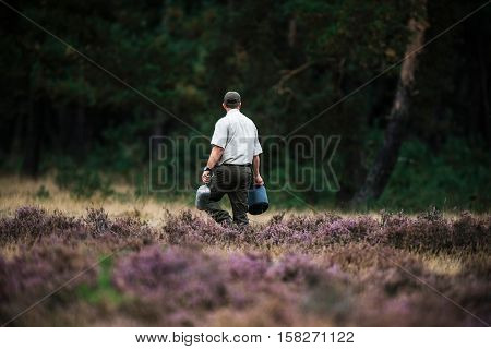 Forester Spreading Food For Red Deer In Rutting Season. National Park Hoge Veluwe.
