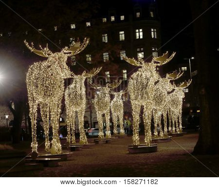 Herd of Christmas moose made of led light Nybrokajen Stockholm Sweden