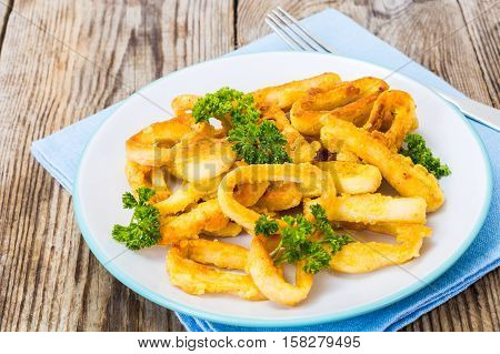 Fried squid rings in breadcrumbs. Studio Photo