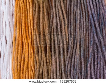 Wool yarn swatches colored by henna and indigo mix in 1:0 3:1 1:1 1:3 0:1 proportions and control white sample