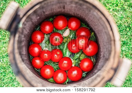 Pickled tomatoes with herbs in the wooden cask.