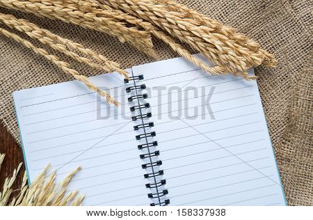 Notebook with rice drying on sackcloth background.Top view focus.
