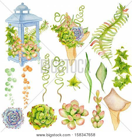Succulent and fern bouquet in the blue lantern. Boho style for your design. Wedding invitation Valentines Day cards ect
