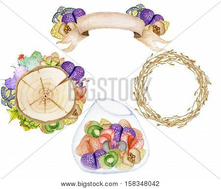 Watercolor set with succulents. Hand drawn raster illustration. Living stones. Banner wood slices branch wreath terrarium