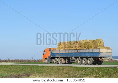 Truck Carrying Hay In His Body. Making Hay For The Winter.