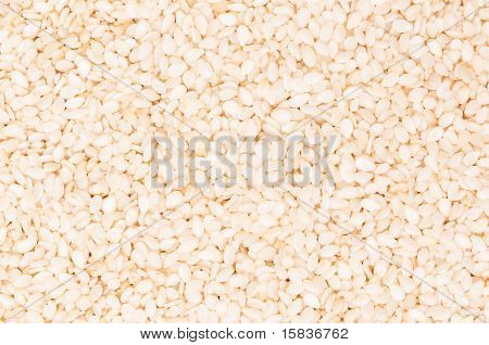 เมล็ดงา