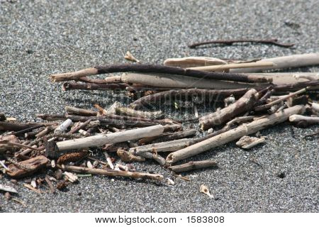 Bois flotté sur la plage