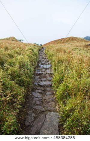 pathway along Mount Pulag or stoned trail