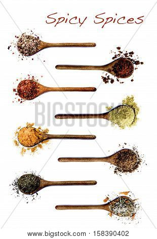 Collection of Various Spices in Wooden Spoons: Salt with Chili Salt with Cayenne Pepper Dried Paprika Cumin Powder Curry Powder Coriander Thyme and Salt with Petals with Inscription isolated on White background