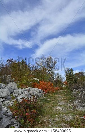 Autumn colours on display in the Carso karst limestone area of Friuli near Aurisina in north east Italy.