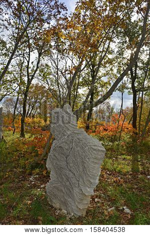 Autumn colours on display in the Carso karst limestone area of Friuli near Aurisina in north east Italy. This rock is part of a World War One walking trail as the area was then on the frontline.
