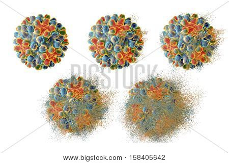 Destruction of hepatitis B virus, 3D illustration. Conceptual image for anti-hepatitis treatment. Stages of viral destruction