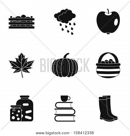 Season of year autumn icons set. Simple illustration of 9 season of year autumn vector icons for web