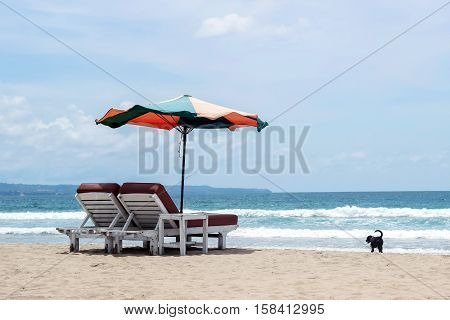 chair and parasol on beach with a dog beside