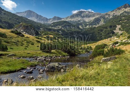 Landscape with Banderishki Chukar Peak and mountain river, Pirin Mountain, Bulgaria