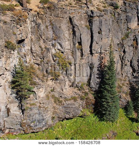 A rugged mountain cliff in Central Oregon has trees grass and bushes growing on it.