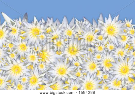 Blomma bakgrund