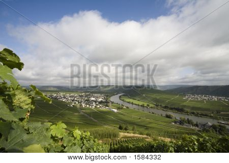 Mosel
