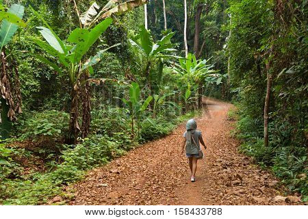 Woman walking in a lush jungle path in the Koh Kood island in Thailand