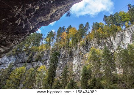 Allgaeu (Germany) / autumn forest growing on high cliffs