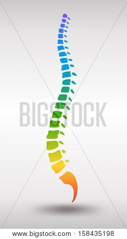 Human spine. Rainbow gradient colored backbone. A symbol for healthy vertebras. Vector illustration