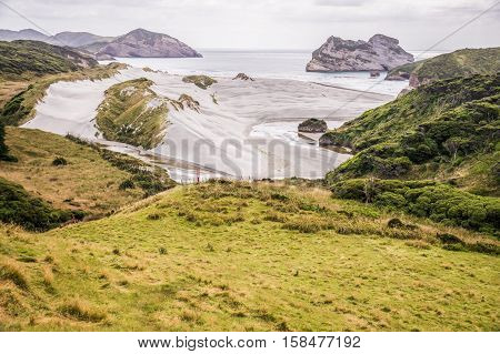 View on Wharariki beach, South Island, New Zealand from grassy sanddune overlooking the beach