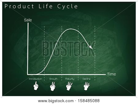 Business and Marketing Concepts 4 Stage of Product Life Cycle Chart on Green Chalkboard.