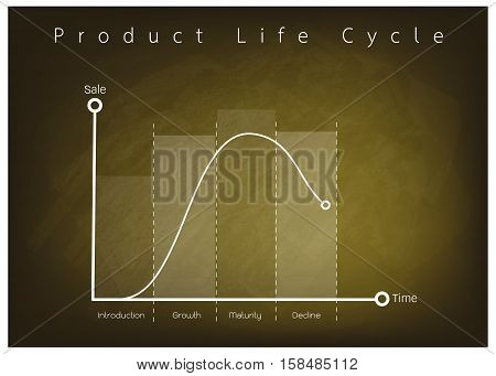 Business and Marketing Concepts 4 Stage of Product Life Cycle Chart on Green Chalkboard.