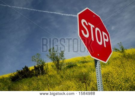 정지