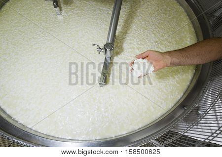 Cheesemaker Controls The Milk Curd