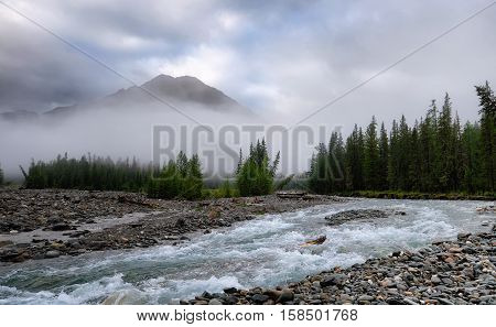 Foggy morning on river Shumak in July. Eastern Siberia. Sayan Mountains. Russia