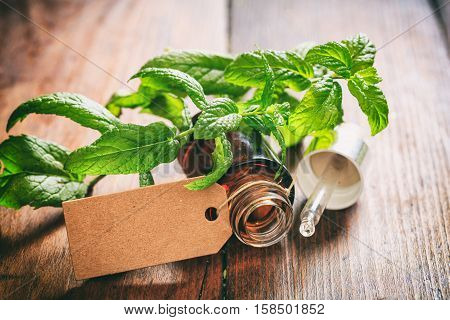 Fresh Peppermint And Oil On Wooden Background