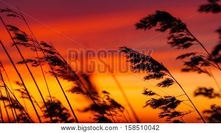 Colorful sunset and intens sky over traditional agricultural landscape in spring
