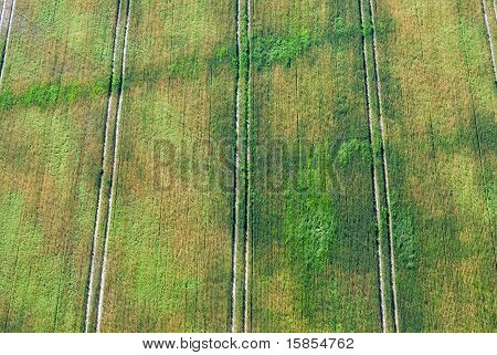 Aerial View Of Green Field