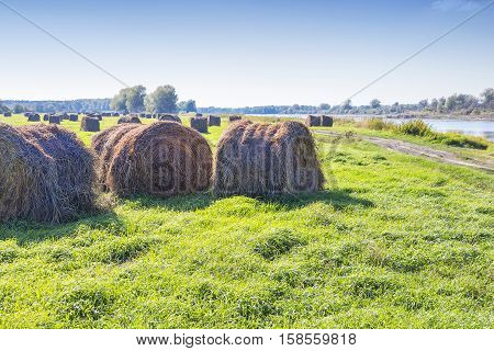 Cut grass in bales in flooded fields by the river. Chaus Novosibirsk oblast Siberia Russia