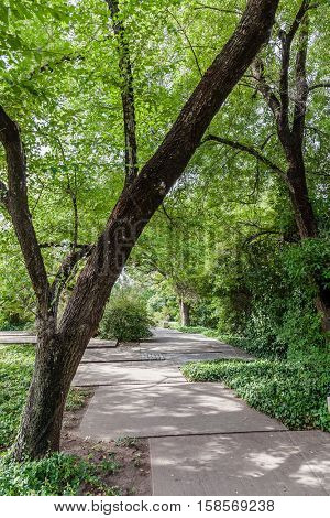 Lisbon, Portugal - October 19, 2016: Gardens of the Calouste Gulbenkian foundation. An urban park open to the public, and very popular especially among College students.