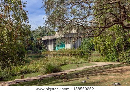 Lisbon, Portugal - October 19, 2016: Calouste Gulbenkian foundation. The auditorium seen across the garden. A very popular urban park open to the public.