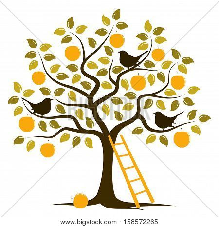 vector apple tree with birds and ladder isolated on white background