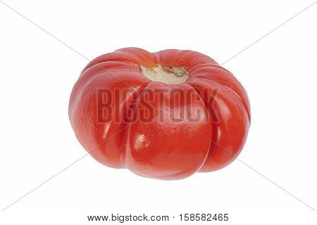 Pumpkin on a stick (Solanum integrifolium). Called Ornamental eggplant also. Image of pumpkin isolated on white background