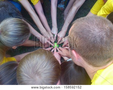 Top view of happy group of young people putting hands together showing finger gesture.Many hands pointing with their fingers to the center on green sphere.Team showing unity with their hands.